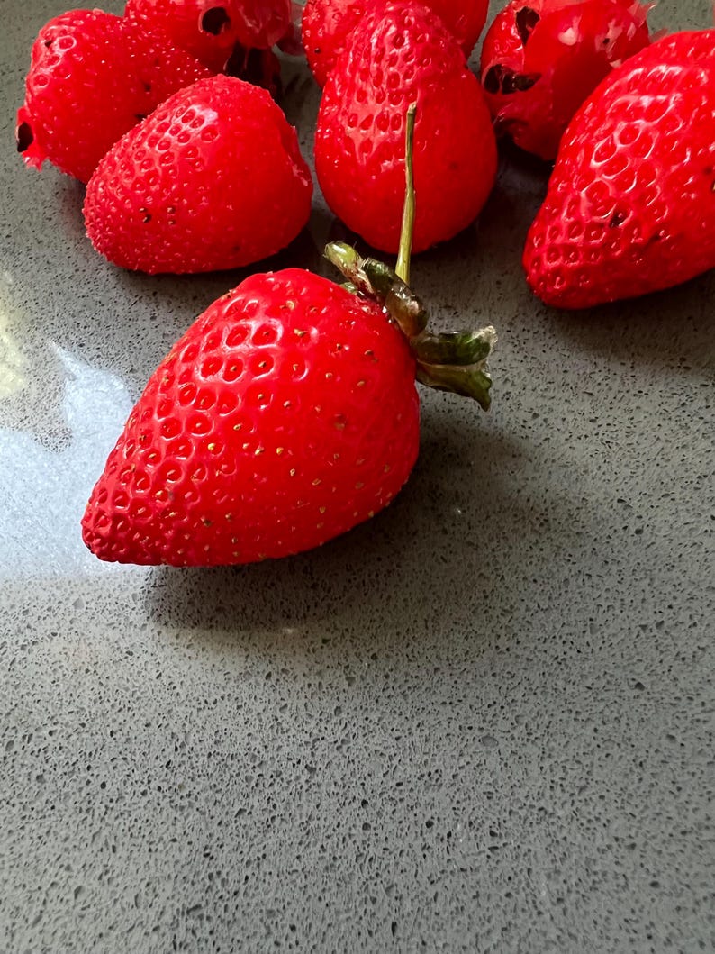 May include: A close-up of a group of red strawberries on a gray surface. The strawberries are arranged in a semi-circle, with the largest strawberry in the center.