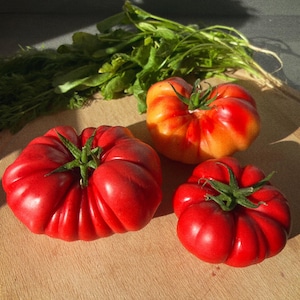 May include: Three heirloom tomatoes on a wooden cutting board. One tomato is red with a green stem, another is red and orange with a green stem, and the third is red with a green stem.