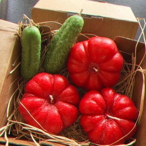 Garden Lover’s Gift, Set of 5  Realistic Tomato/Cucumber Handmade Candles, Unique Table Decor, Mother’s Day gift