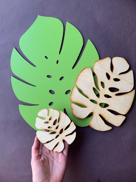 monstera suriname Monstera deliciosa var. sierrana (Hawaiian Form) – The Plant Lady SF main image 0