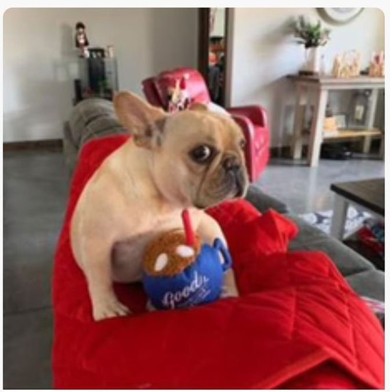 Thick hot sale dog blanket
