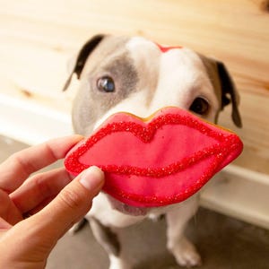 Build Your Own &quot;Love&quot; Dog Cookie Box I BoxDog Handmade Frosted Cookies for Dogs| Dog Treats You Can Eat Too!