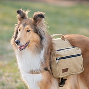 BoxDog Saddlebag for Dogs | Dog Harness Backpack