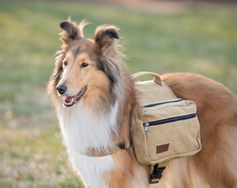 BoxDog Saddlebag for Dogs | Dog Harness Backpack