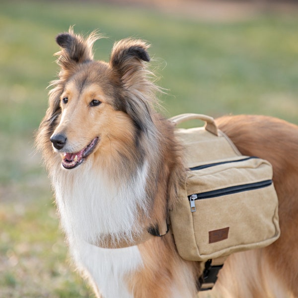 BoxDog Saddlebag for Dogs | Dog Harness Backpack