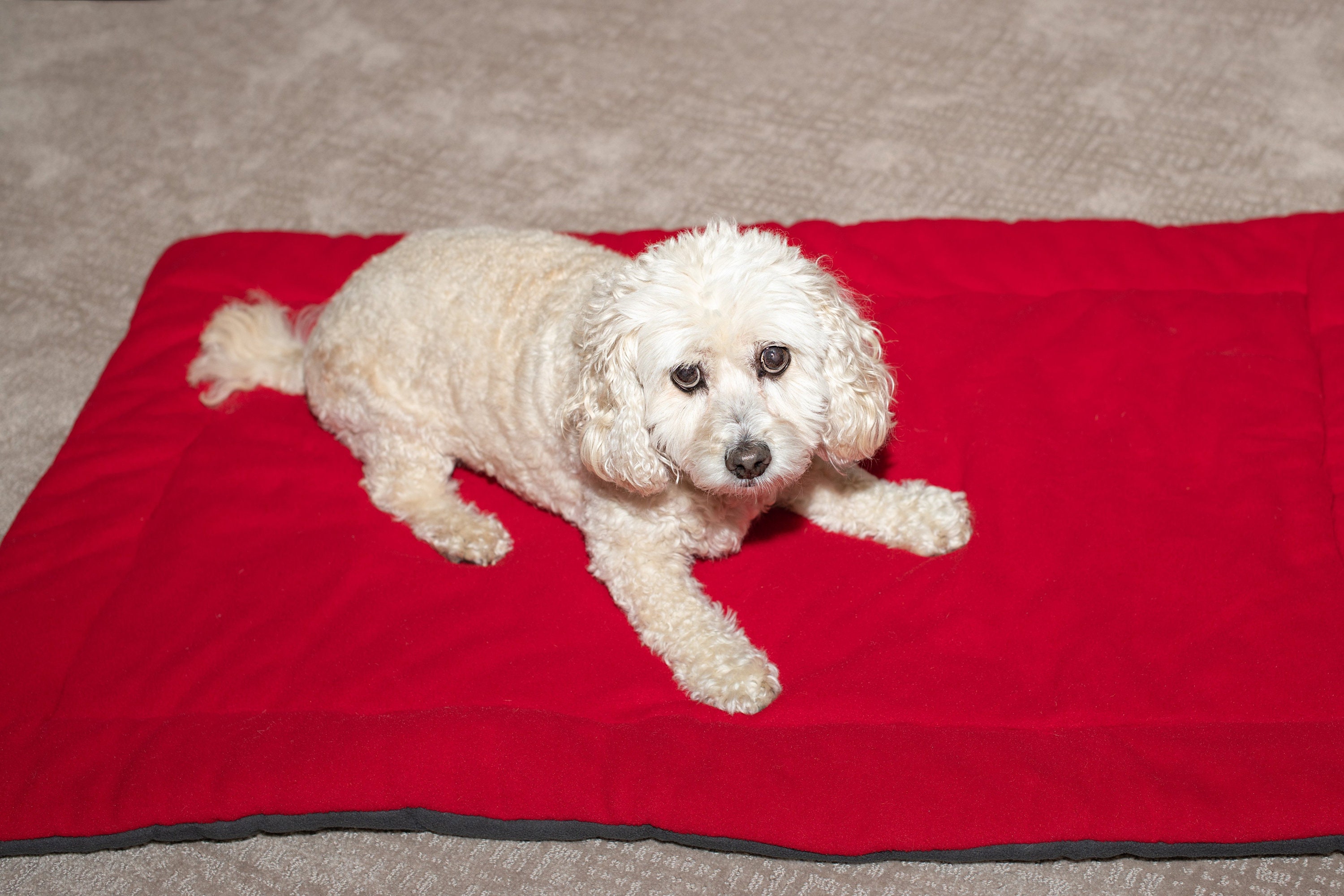 Dog Crate Mat I 100 Polar Fleece Dog Mat Etsy