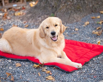 Dog Crate Mat I 100% Polar Fleece Dog Mat