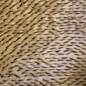 Polly CREAM BROWN Spike Shaggy Soft Faux Fur Fabric for Fursuit, Cosplay Costume, Photo Prop, Trim, Throw Pillow, Crafts