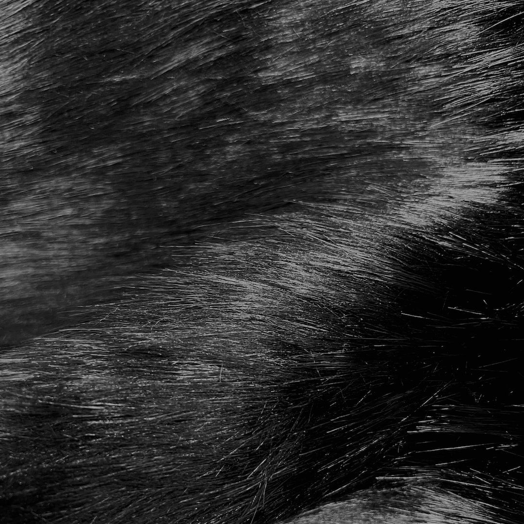Anika BLACK Soft 4 Long Pile Faux Fur Fabric for Fursuit, Cosplay Costume,  Photo Prop, Trim, Throw Pillow, Crafts 50050 