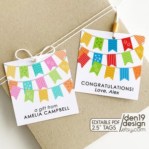 Bearbeitbare & druckbare Geschenkanhänger / Bunte Bunting Alle Anlass Favor Tags / Sofortiger Download PDF