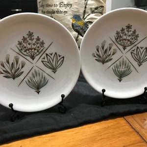 Vintage Collectible A set of two Saucers / Garden Terrace by Harmony House China