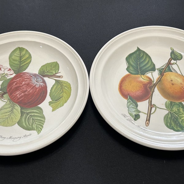 Rare-Find Vintage Collectible A Set of 2 Dinner Plates Pomona By Portmeirion 10.5"  RomApricot and Morning Apple/ England