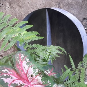 May include: A circular metal wall mirror with a dark, reflective surface and a thin, grey frame. The mirror is partially obscured by green fern fronds and broad, variegated caladium leaves featuring prominent pink and white veins and patterns.