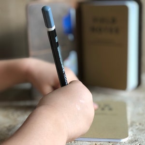 May include: A person is writing in a small notebook with a black and gray pen. The notebook is open to a blank page. A tan Bible is in the background.