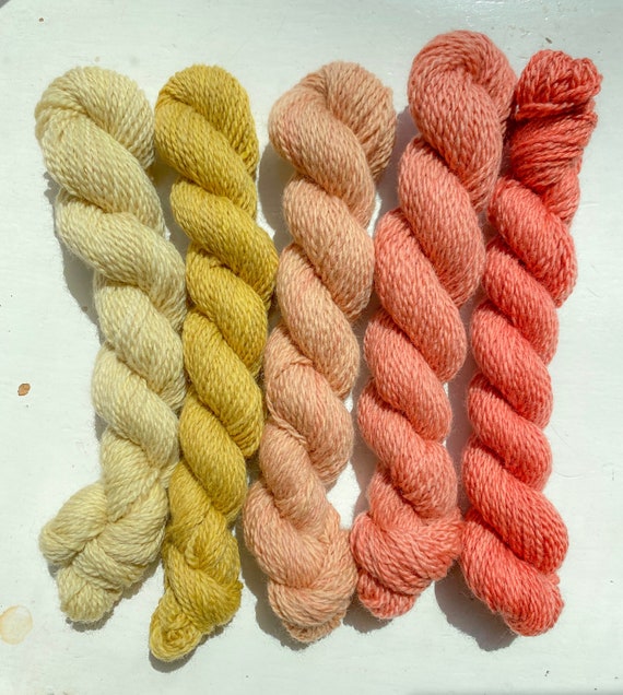 20g skeins Wool yarn dyed with madder