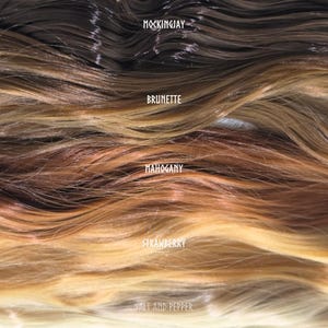 May include: Close-up of hair swatches in various colors. The colors include Mockingjay, Brunette, Mahogany, Strawberry, and Salt and Pepper. The names of the colors are written in white text across the image.