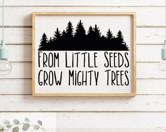Nursery Wall Decor SVG: From Little Seeds Grow Mighty Trees (Digital Download)