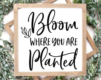 Bloom Where You Are Planted SVG: Spring Quote Sign (Digital Download)