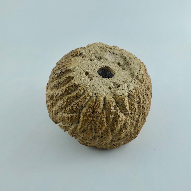 The Desert Dragon Fossil Egg Exclusive Pot Perfect for plants and bonsai Shiny Metallic glaze interior