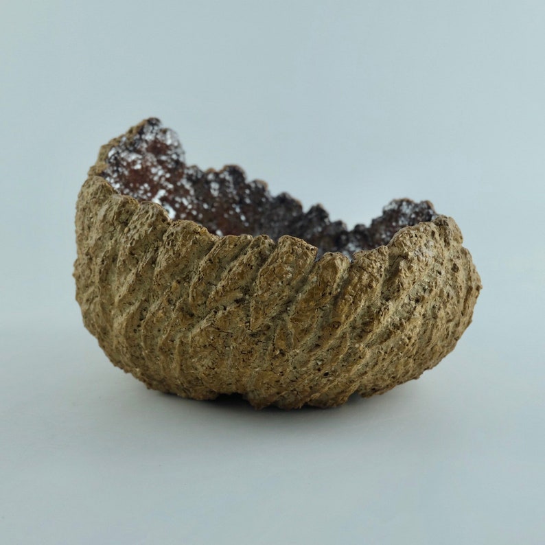 The Desert Dragon Fossil Egg Exclusive Pot Perfect for plants and bonsai Shiny Metallic glaze interior