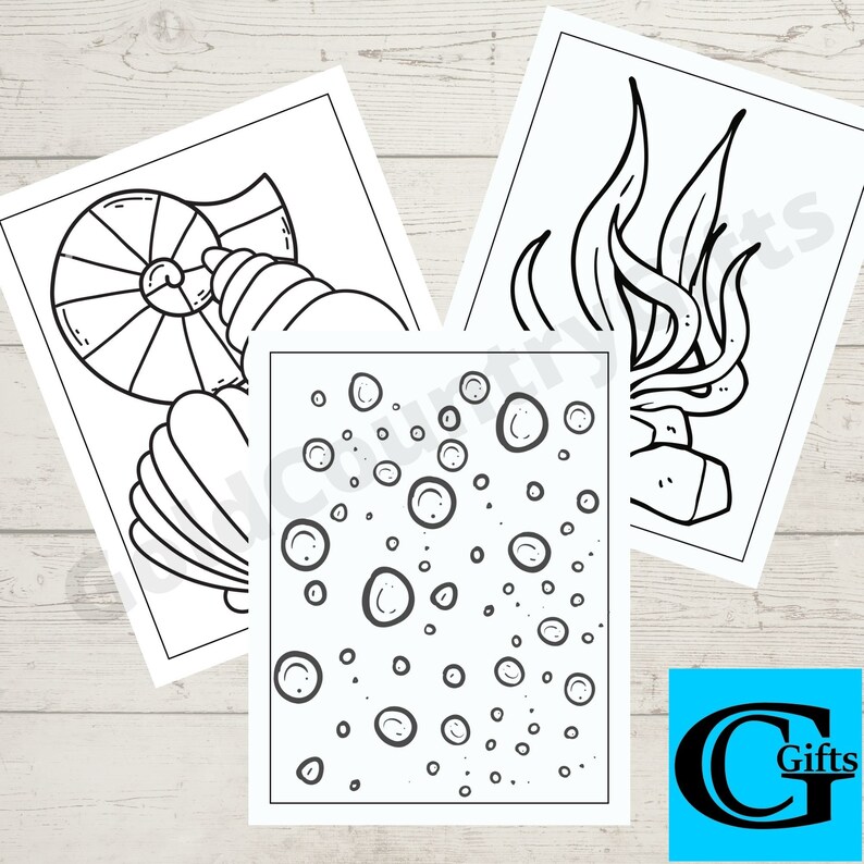 May include: Three black and white colouring pages featuring a seashell, seaweed, and a pattern of bubbles. The colouring pages are on white paper.