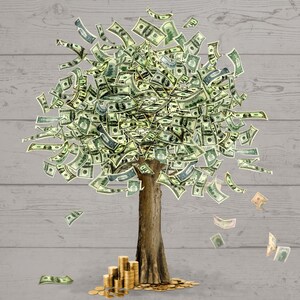 May include: A money tree with dollar bills as leaves and a pile of gold coins at the base. The tree is against a gray wood background.
