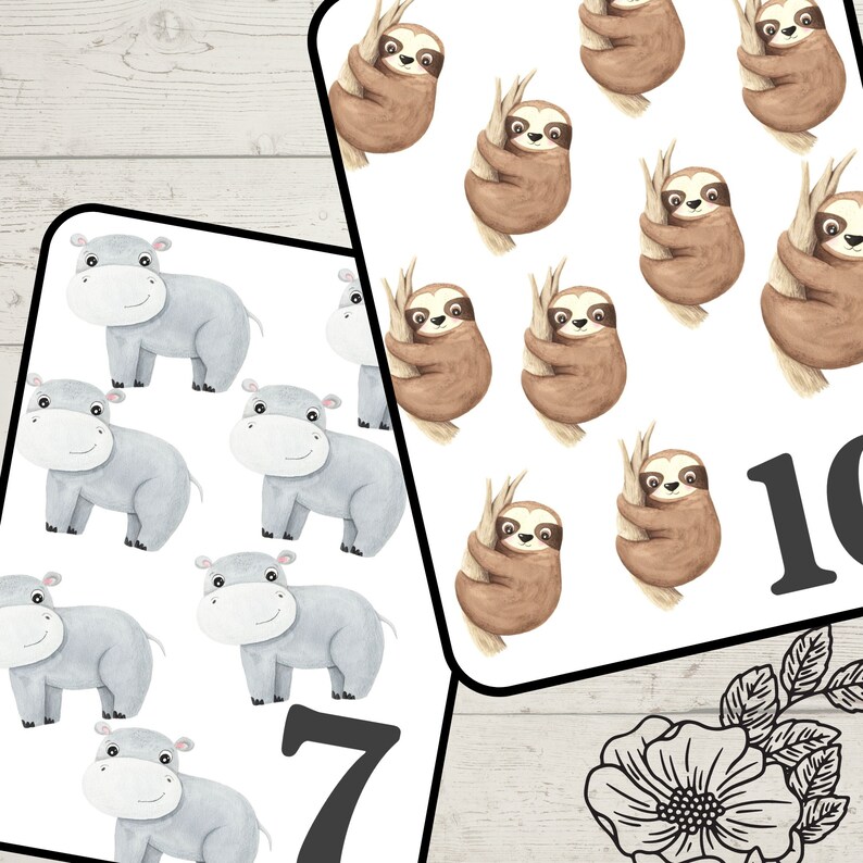 May include: Educational flashcards with watercolour animal illustrations and numbers. The cards show hippos and sloths, with the numbers 7 and 10 displayed. The design includes a floral element, all set against a white background.