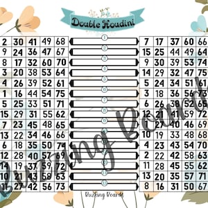 Dubbel Houdini Bingobord, 15 spelers, 1 PDF-bestand, 8,5 x 11 inch, 75 ballen, Bingoblad, Afdrukbaar