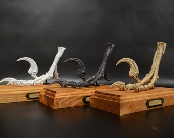 May include: Three decorative bird claw sculptures in white, black, and tan, each mounted on a wooden base with a small metal nameplate. The claws have curved talons and detailed bone structures, set against a dark background.