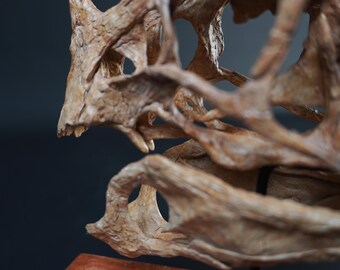 Oviraptor (citipati) Skull - Etsy UK