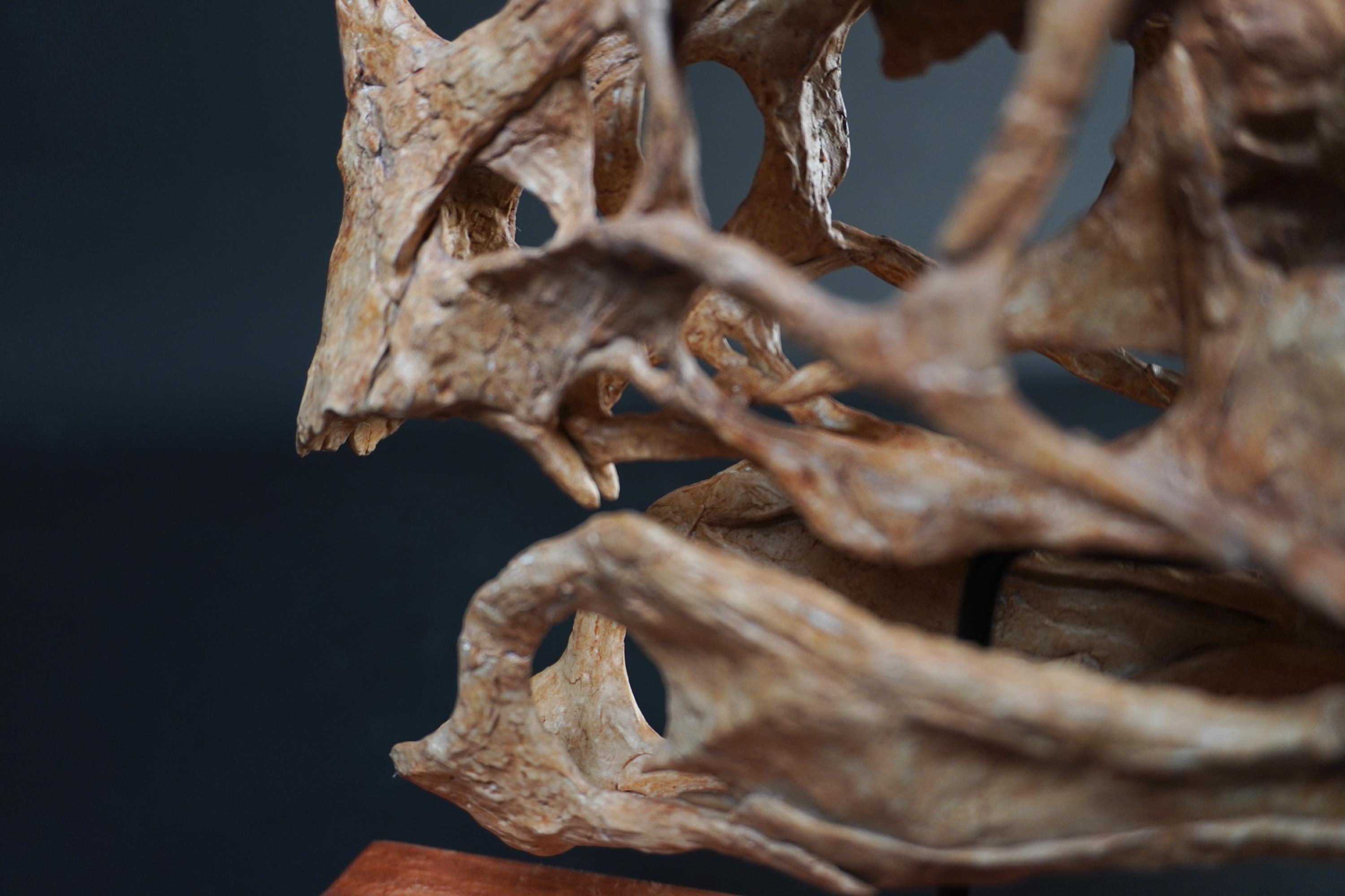 Oviraptor (citipati) Skull - Etsy