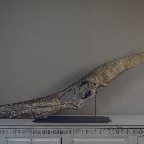 Cráneo de Pteranodon (archivos 3D)