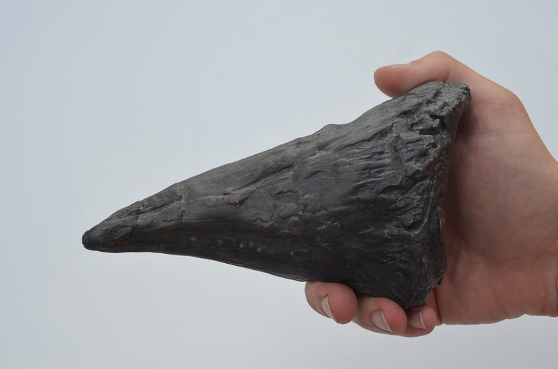 dinosaur with thumb spike