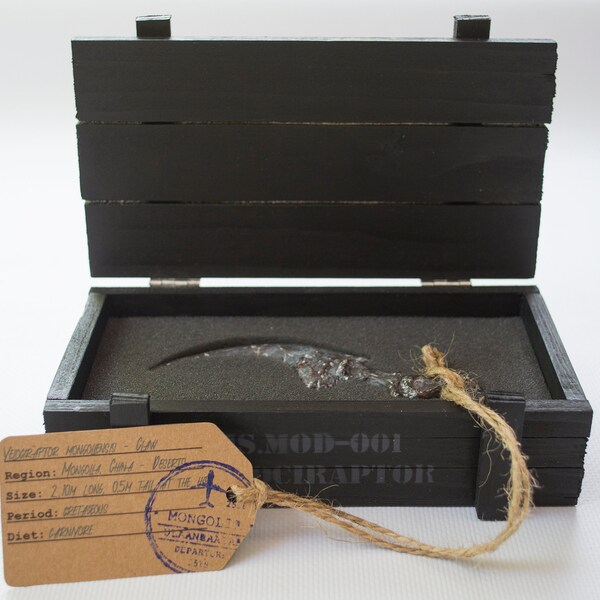 Garra de velociraptor