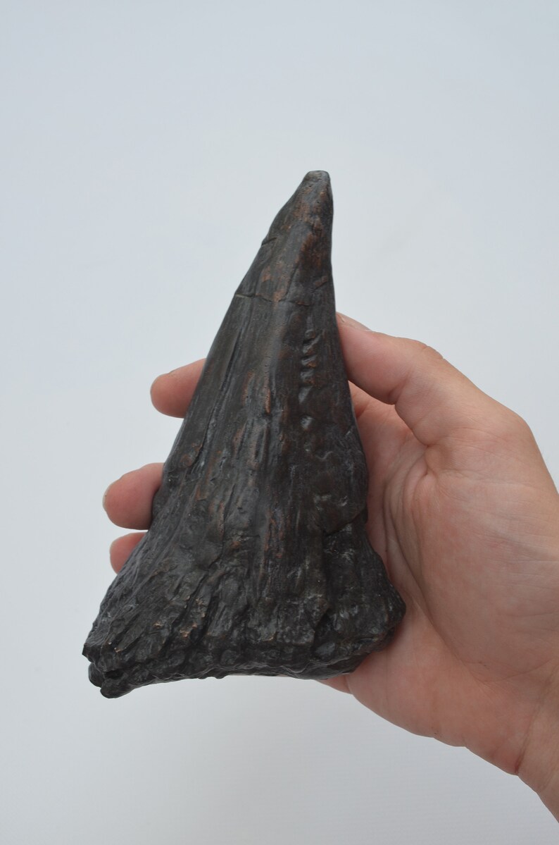 dinosaur with thumb spike