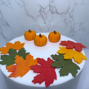 Könnte beinhalten: Ein weißer Kuchen, verziert mit orangefarbenen und gelben Fondant-Kürbissen und roten, orangefarbenen, gelben und grünen Fondant-Ahornblättern.