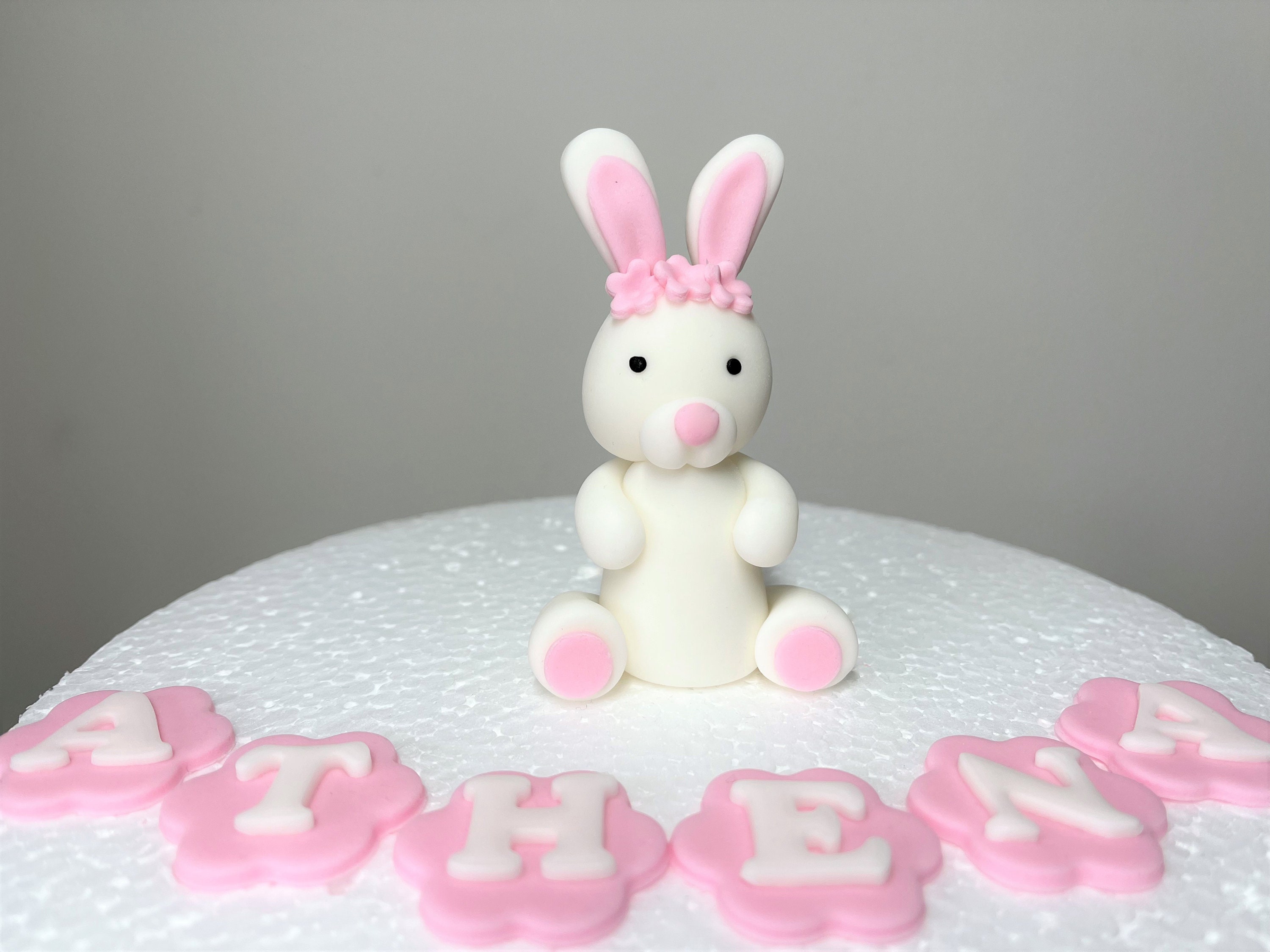 Décoration de gâteau comestible en forme de lapin pour baptême ou fête  d'anniversaire - Glaçage professionnel facile à utiliser - Glaçage