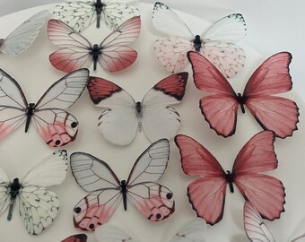 Pre-cut Pink and White Realistic Wafer Butterflies Edible - Etsy Pre-cut Pink and White Realistic Wafer Butterflies Edible - Etsy