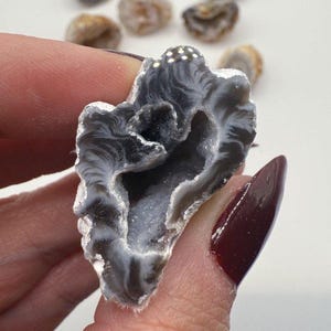 Natural Agate Geode Home Decor| Unique Gift for Crystal Lovers