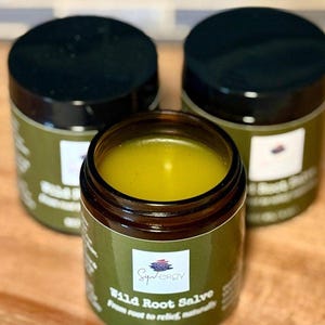 Wildcrafted Dandelion Salve | Herbal Balm for Muscles, Joints & Dry Skin | Small Batch Botanical Body Balm