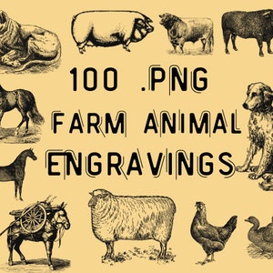 100 croquis d’animaux de ferme, PNG, Fichiers téléchargeables, Utilisation commerciale, Téléchargement instantané, Gravures d’animaux, Art animalier, Clipart de ferme