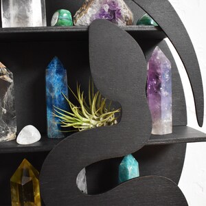 Snake Crystal Shelf with Roses image 4