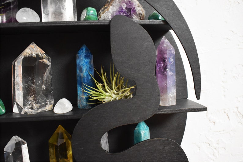 Snake Crystal Shelf With Roses Etsy