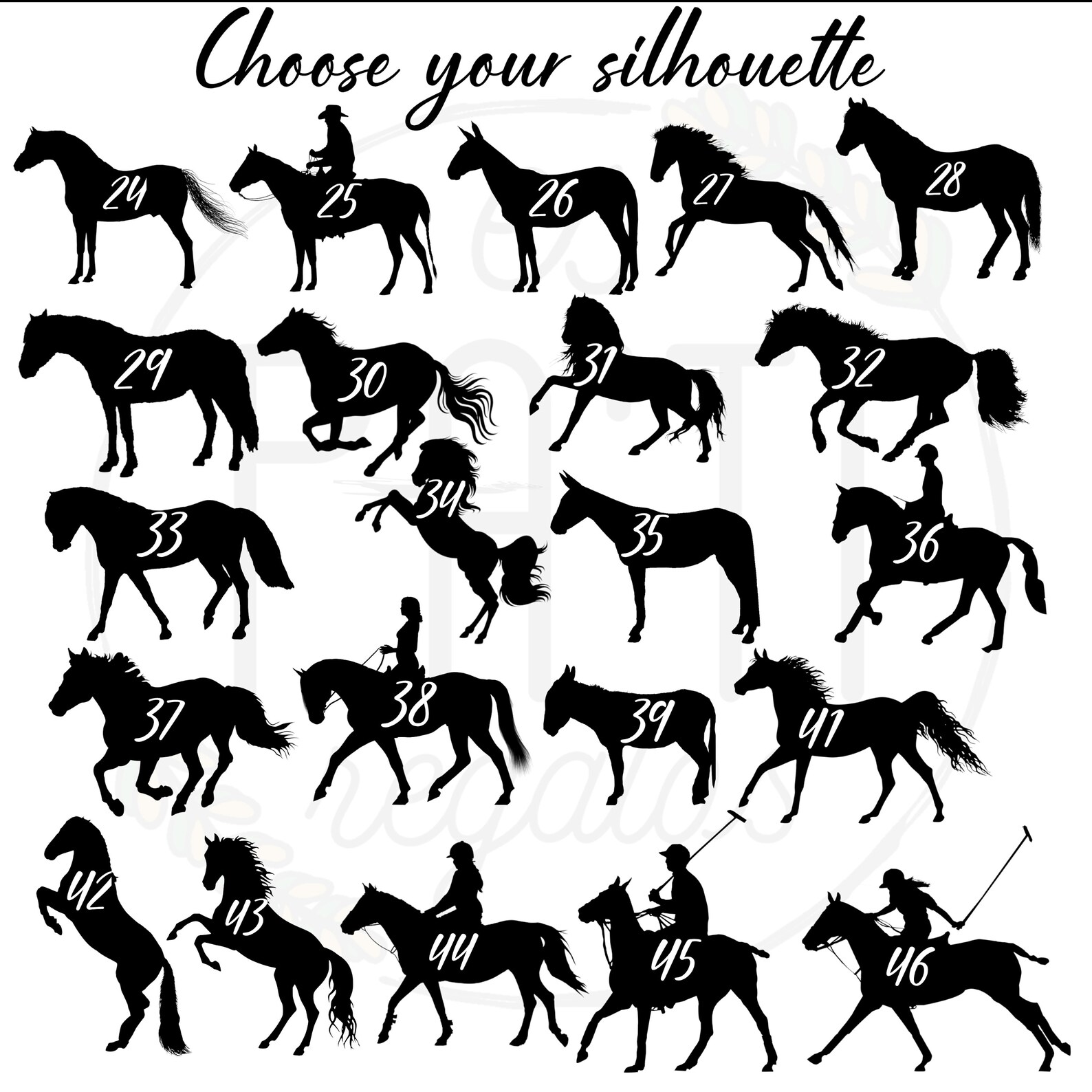 Personalised Horse Name Horse Stickerwestern Riding Horse Etsy