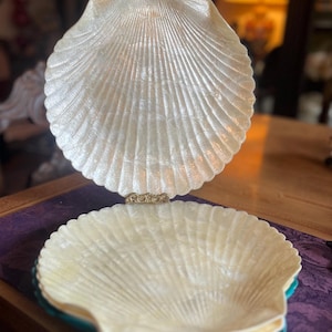 Puede incluir: Un plato decorativo en forma de concha compuesto por dos grandes conchas festoneadas de color blanco roto e iridiscente, unidas por una pequeña bisagra metálica ornamentada. El interior de las conchas tiene un acabado nacarado con estrías radiales.