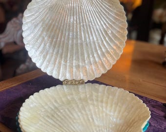 Capiz-Muscheln, muschelförmige Tabletts/Teller, 4er-Set, Servieren/Dekoration