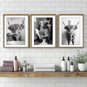 Decorazione murale, poster o tela raffigurante una mucca delle Highlands, divertente decorazione per il bagno, mucca seduta sul water, che si lava i denti con la carta igienica in testa, umorismo sugli animali sul water