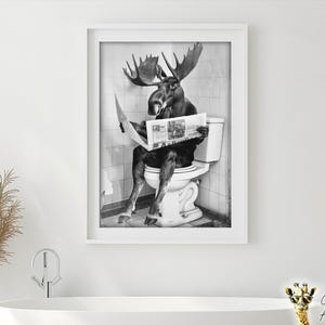 May include: A black and white photo of a moose sitting on a toilet and reading a newspaper. The moose is wearing a serious expression and has large antlers. The photo is framed in a white frame.