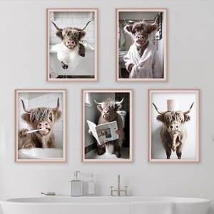 May include: Five framed prints featuring Highland cows in humorous bathroom scenes. One cow is in a bathtub, another in a bathrobe, a third brushing its teeth, a fourth reading a newspaper, and the last with a toilet paper roll on its head.