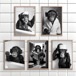 May include: Five black and white photographs of chimpanzees in various bathroom settings. One chimpanzee is taking a bath, another is brushing its teeth, another is reading a book on the toilet, another is wearing a bathrobe, and another is holding a towel on its head.